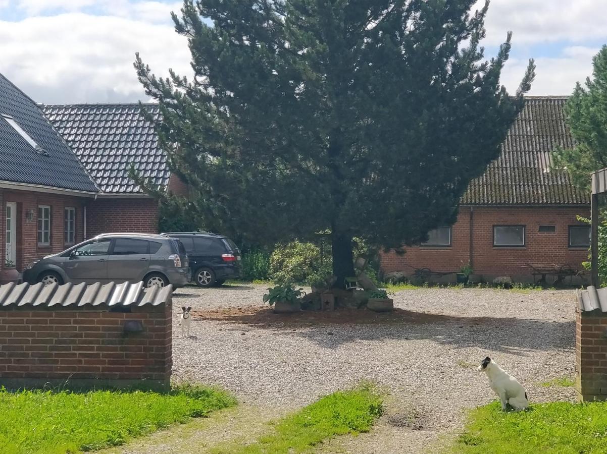 Kristinebjerg Apartment Jelling Exterior photo